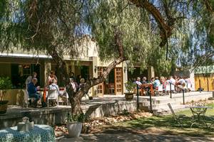 The Pepper Tree @ Highgate Ostrich Farm
