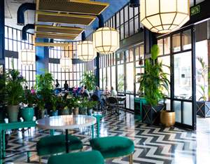 Elephant & Co - Pietermaritzburg