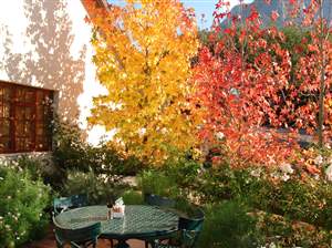 Hillcrest Berry Orchards Restaurant