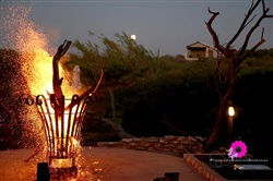 Thali Thali Game Lodge