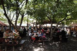 Bryanston Organic & Natural Market
