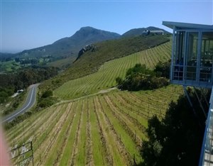 La Vierge Tasting Room & Restaurant 